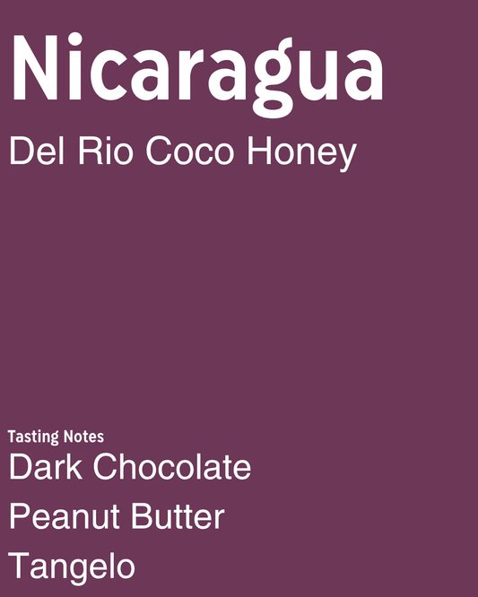 Nicaragua San Juan Del Rio Coco Honey